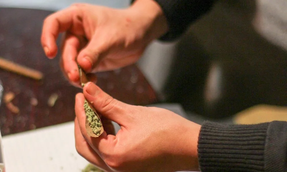 cannabis