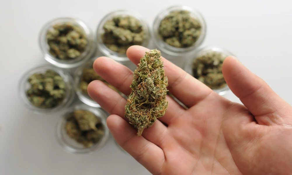 Selecting Premium THCA Flower Based On Appearance, Aroma, and Texture